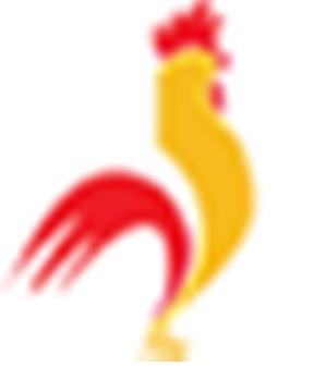 D&D Poultry Jerk Chicken Wholesale - Toronto Cameras, Video