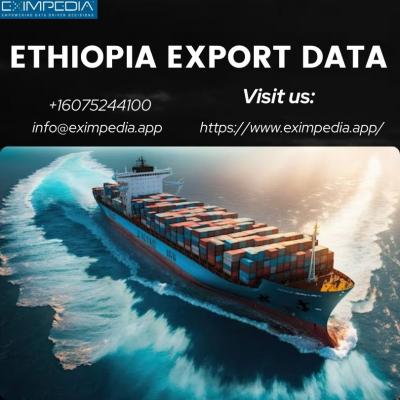 ethiopia Export Data - Delhi Other