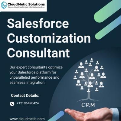 Salesforce Customization Consultant - New York Other