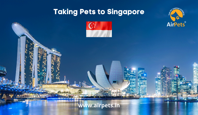 Pets Export from India to Singapore - Delhi Animal, Pet Services