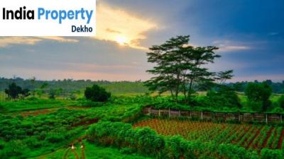 200 Acre Agricultural Land For Sale In Behror Village Alwar - Delhi For Sale