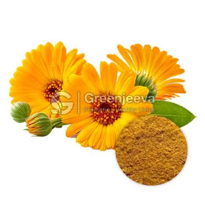 Wholesale Organic Calendula Powder - Other Other