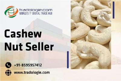 Cashew Nut Seller - Dubai Other