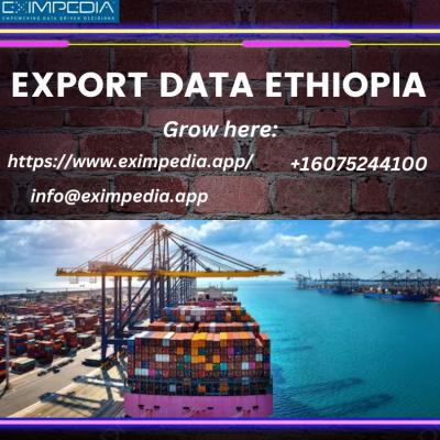 Export Data ethiopia - Delhi Other