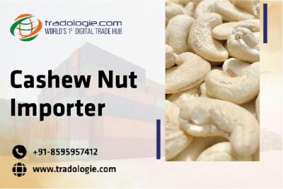 Cashew Nut Importer - Dubai Other