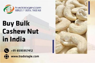 Buy Bulk Cashew Nut In India - Dubai Other