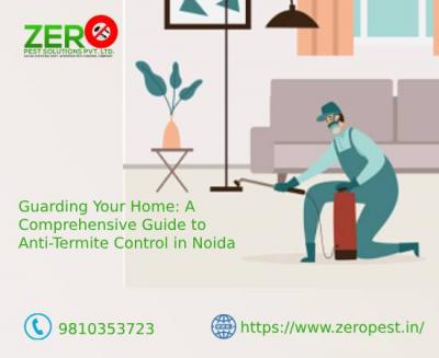 Guarding Your Home: A Comprehensive Guide to Anti-Termite Control in Noida - Delhi Other