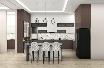 Modular Kitchen Design  - Delhi Interior Designing