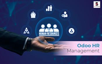 Odoo HR Management | Balj Technology. - New York Other