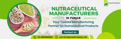 Third Party Manufacturing Pharma Companies in Punjab