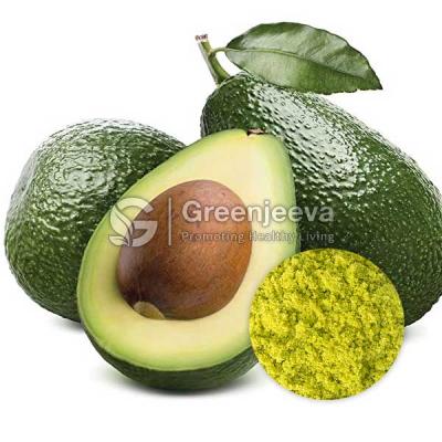 Wholesale Organic Avocado Powder - Other Other