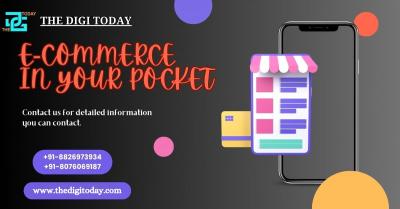 Elevate Your Ecommerce Websites with The Digi Today - Delhi Other