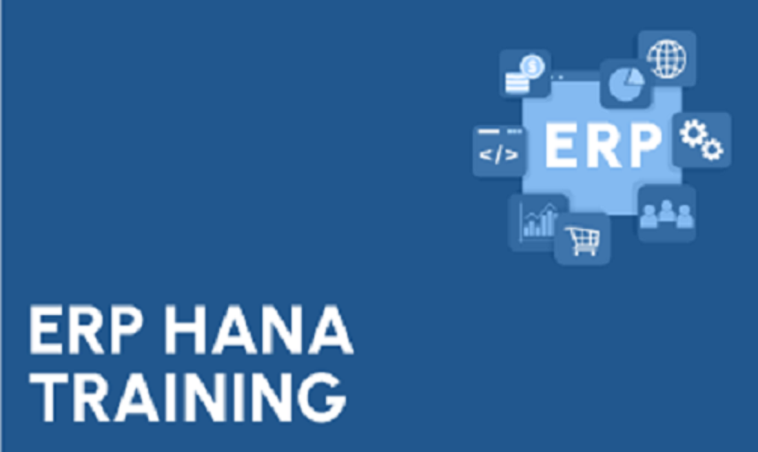 ERP SAP HANA Course in Gurgaon - Delhi Computer