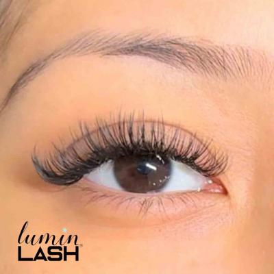 Best Lashes in Missouri City - Houston Other