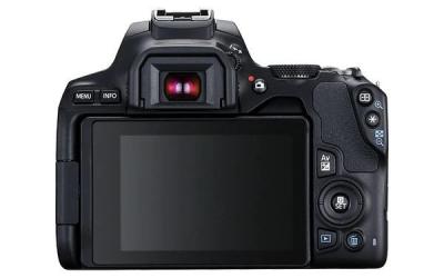 Buy Best Canon EOS 250D Body (Black) In Canada At GadgetWard - Halifax Cameras, Video