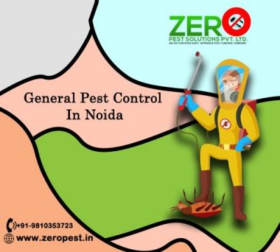 Keeping Noida Pest-Free: The Ultimate Guide to General Pest Control - Delhi Other