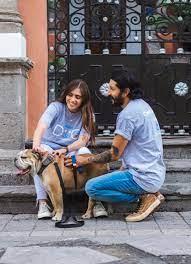 Adiestramiento canino Monterrey - Distrito Federal Animal, Pet Services