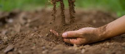 Which soil test is right for me? - Microbiometer - New York Professional Services