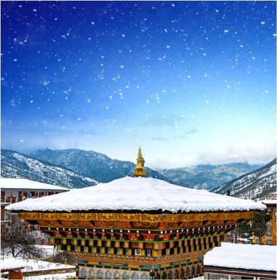 Customized Bhutan Package Tour from Ahmedabad via at Best Price