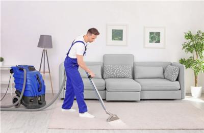 Carpet Steam Cleaning Services in hampton park