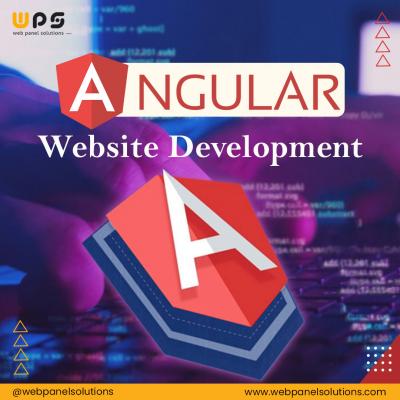 Online Angular Website Development Company – Web Panel Solutions