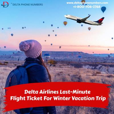 delta airlines last minute flight ticket - Chicago Other