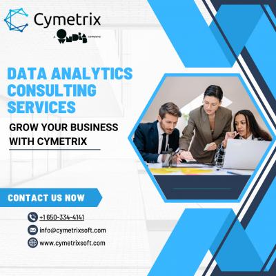 Data Analytics Consulting Services 