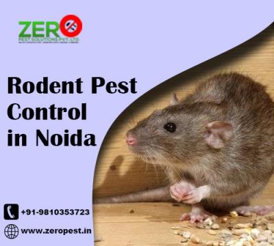 Reliable Rodent Pest Control Services in Noida: Say Goodbye to Unwanted Guests! - Delhi Other