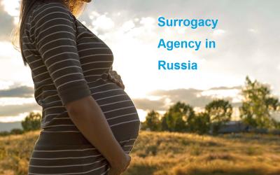 Surrogacy Agency in Russia - London Health, Personal Trainer