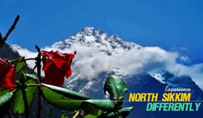 North Sikkim Tour Package Booking with NatureWings