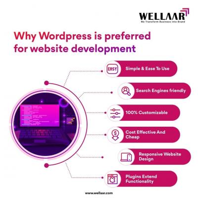 Wordpress Website Development Company India - Indore Other