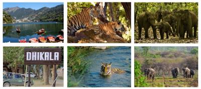 Tadoba Jeep Safari Online Booking - Melbourne Other