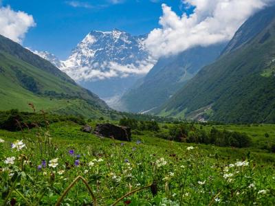 Valley of Flowers Trek: Blooming Beauty in the Himalayas - Dehradun Other