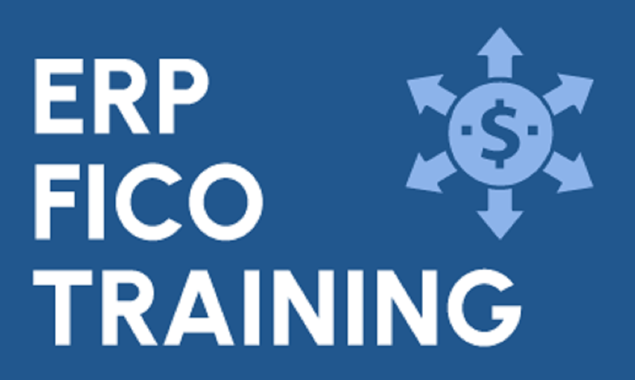 ERP SAP FICO Training in Noida - Gurgaon Tutoring, Lessons