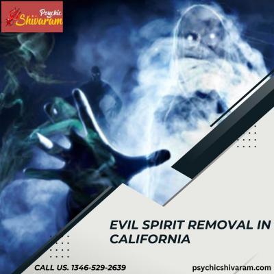 One of the Best Evil Spirit Removal in California - Psychic Shivaram - Houston Other