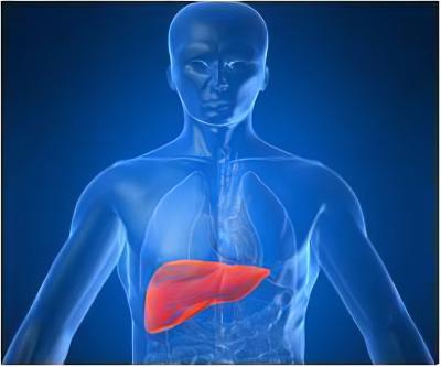 Premium Liver Transplant Services in India