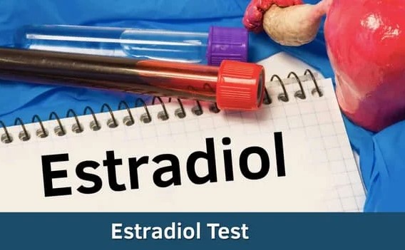 Agilus Diagnostics offers you Estradiol Test