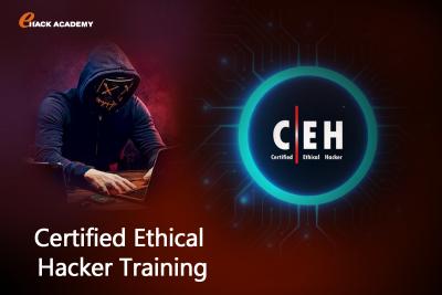 Expert Guidance: Ethical Hacking Institute In Bangalore, Ehackacademy - Bangalore Tutoring, Lessons