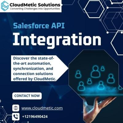 Salesforce API Integration