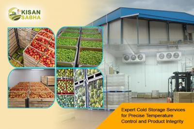 Elevate Your Produce with Kisan Sabha's Cold Storage Services