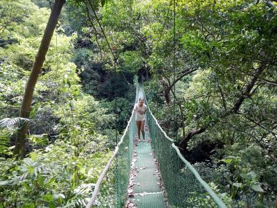 La Leona Waterfall Hike Costa Rica - Other Other