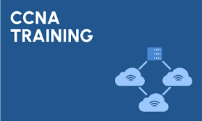 CCNA Training in Noida - Delhi Tutoring, Lessons