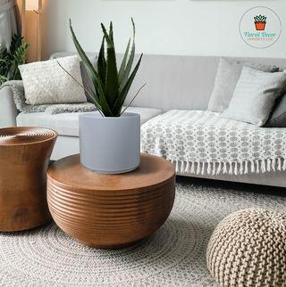 Best ceramic pots manufacturer - Washington Other