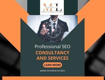 Professional SEO consultancy in Sharjah