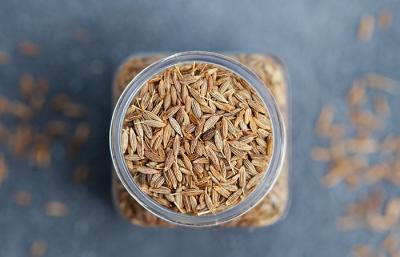 Uses of Cumin Seeds in USA - Washington Other