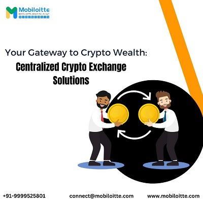 Your Gateway to Crypto Wealth: Centralized Crypto Exchange Solutions - Delhi Computer