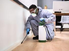 Pest Control Service Queens - New York Other