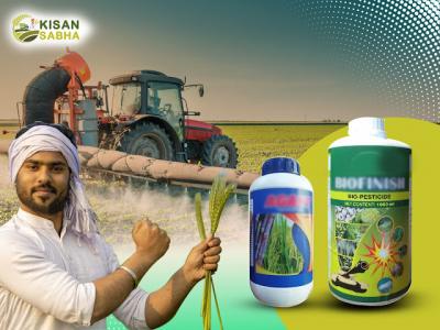 Optimize Your Crop Protection: Connect with Kisan Sabha - Your Trusted Pesticides Dealers