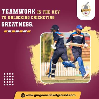 Best Cricket Training Academy In Haryana