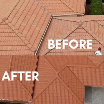 Roof restoration Brisbane